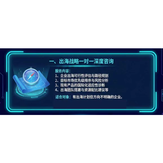 出海战略一对一深度咨询