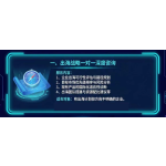 One on one in-depth consultation on overseas strategy