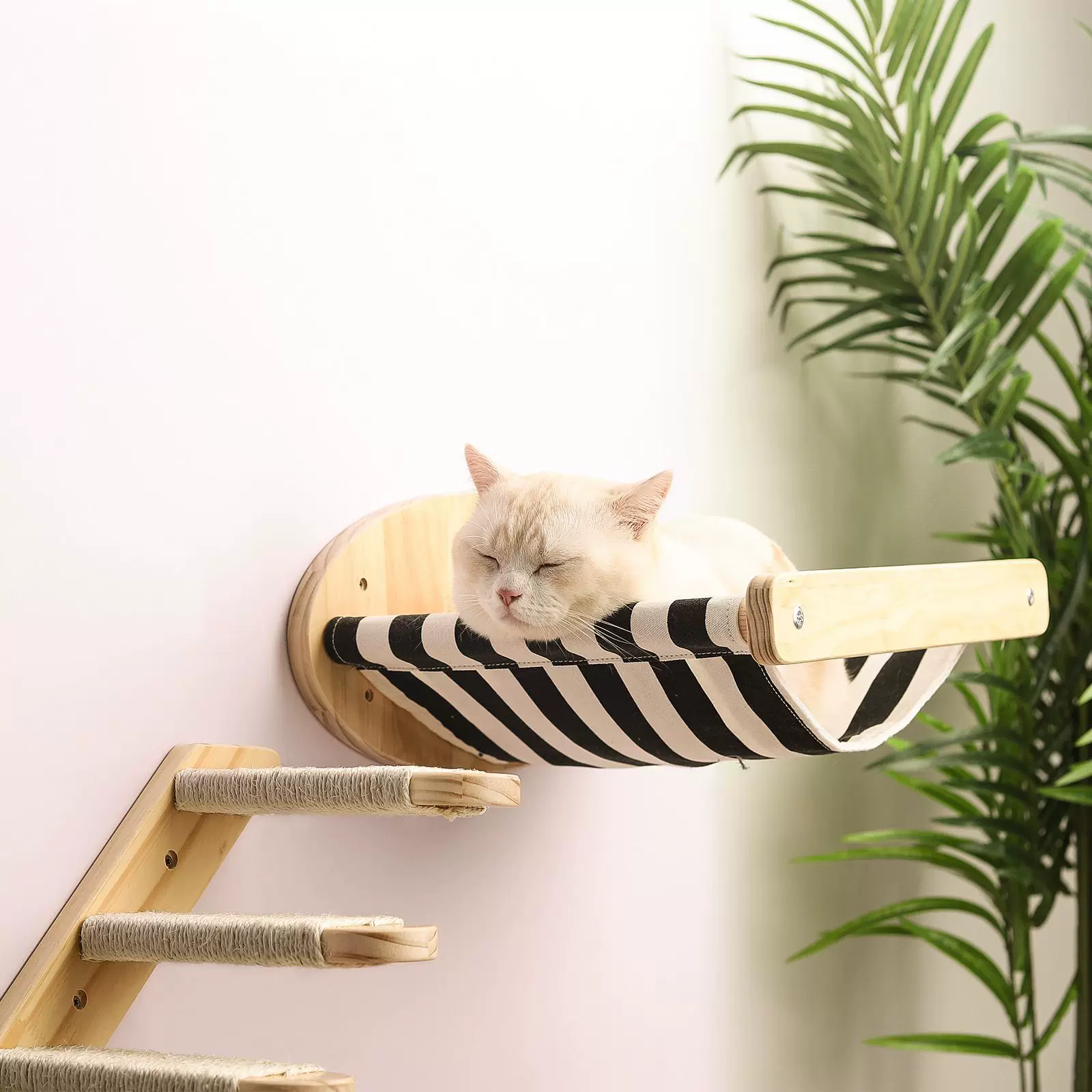 木质猫爬架猫窝墙上实木壁挂式吊床爬梯猫咪跳台多层攀爬楼梯跳台