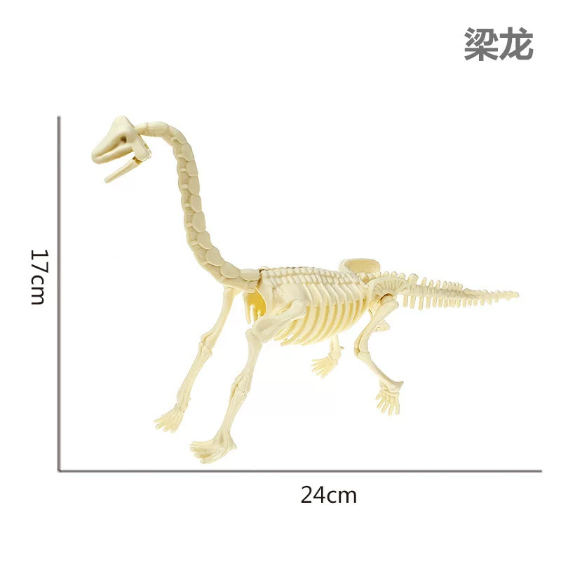考古挖掘恐龙骨架批发大号霸王龙三角龙剑龙翼龙骨架生产源头厂家