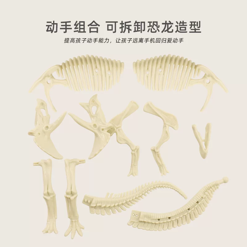 考古挖掘恐龙骨架批发大号霸王龙三角龙剑龙翼龙骨架生产源头厂家