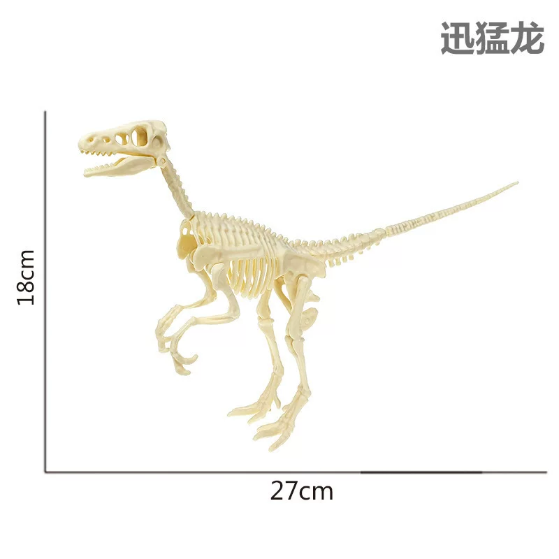 考古挖掘恐龙骨架批发大号霸王龙三角龙剑龙翼龙骨架生产源头厂家