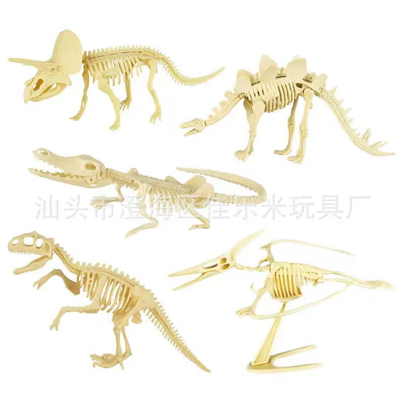 考古挖掘恐龙骨架批发大号霸王龙三角龙剑龙翼龙骨架生产源头厂家