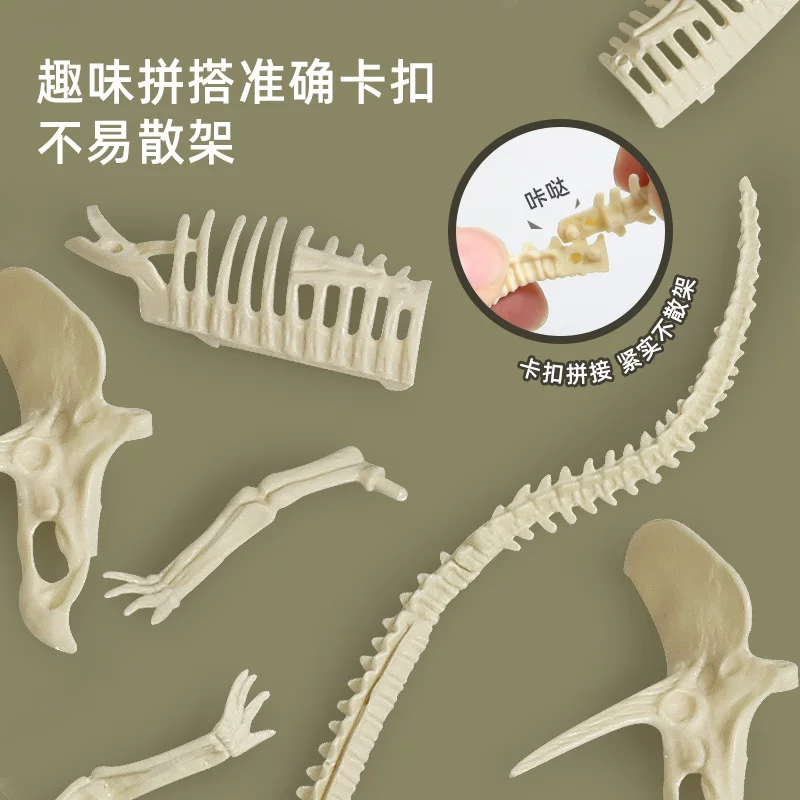 考古挖掘恐龙骨架批发大号霸王龙三角龙剑龙翼龙骨架生产源头厂家