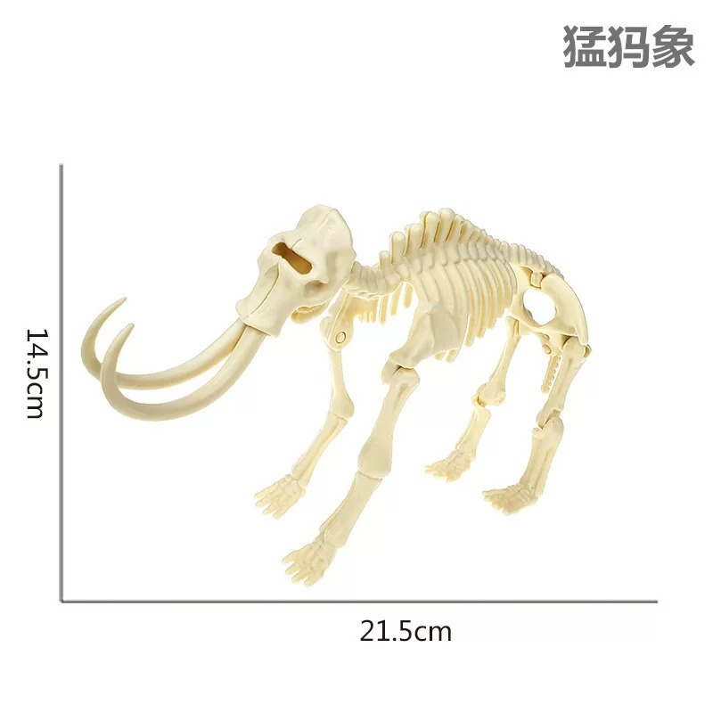 考古挖掘恐龙骨架批发大号霸王龙三角龙剑龙翼龙骨架生产源头厂家